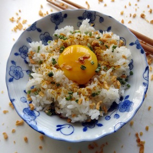 A bowl of tamago kake gohan, or raw egg over rice, with sliced spring onions